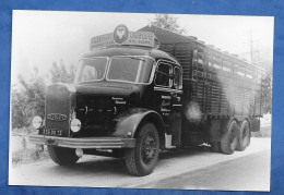 Photo ( Repro ) Ancien Camion Poids Lourds BERNARD Transports TARENTAISE - Mineret Chambéry 9/14 Cm Papier Mat - Auto's