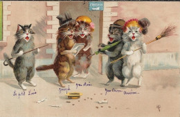 Carte Fantaisie Chats Musiciens - Cats