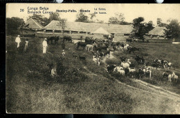 Carte Avec Vue: N° 43 - 36 ( Stanley-Falls. Romée : La Ferme ) Obl. NIANGAR  1913 - Postwaardestukken