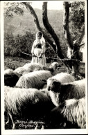 CPA Korfu Griechenland, Schafe, Mädchen - Grèce