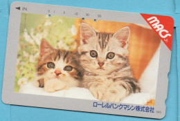 JAPAN - Used Phonecard NTT -   CAT - Rarer - Japón