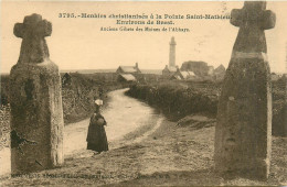 29* BREST  Pointe St Mathieu – Menhirs Christianises      RL40,0492 - Brest