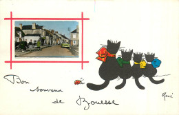 36* BOUESSE  « souvenir »  Chats       RL40,0843 - Sonstige & Ohne Zuordnung