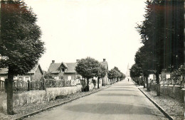 62* BULLY LES MINES Cite Des Alouetts  (CPSM 9x14cm)      RL40,0810 - Andere & Zonder Classificatie