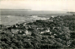 33* CAP FERRET  Vue Generale  (CPSM 9x14cm)      RL40,0633 - Autres & Non Classés