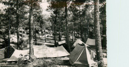 33* ARCACHON LES ABATILLES  Camping En Foret  (CPSM 9x14cm)      RL40,0627 - Arcachon