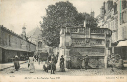 41* BLOIS La Fontaine Louis XII      RL40,1305 - Blois