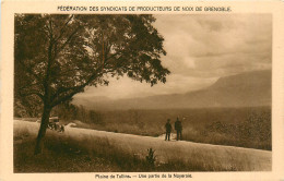 38* GRENOBLE   Plaine Des Tullins – Une Partie De La Noyeraie     RL40,1161 - Grenoble