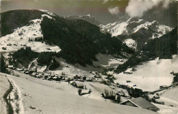 38* ARECHES   Chalet Des Rosieres  (CPSM 9x14cm)      RL40,1076 - Autres & Non Classés