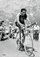 PHOTO CYCLISME REENFORCE GRAND QUALITÉ ( NO CARTE ), FAUSTO COPPI 1952 - Radsport