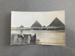 Egypt The Pyramids Of Giza Showing Overflow Of River Nile Carte Postale Postcard - Pirámides