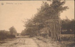 WINTERSLAG      DANS LES BOIS - Genk