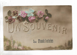 70 - Un Souvenir De BLONDEFONTAINE ( Hte-Saône ) - Roses - Autres & Non Classés