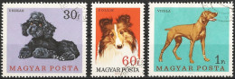 Hungary 1967 - Mi 2337/39 - YT 1903/05 ( Dogs ) - Cani