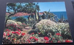 La Côte D'Azur - Jardin Fleuri - Les Editions "MAR", Nice - Sonstige & Ohne Zuordnung