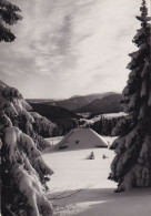 Hiver Dans Le Haut Doubs - Sonstige & Ohne Zuordnung