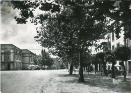 BRIATEXTE - LA MAIRIE - AVENUE De St PAUL En 1957  - - Sonstige & Ohne Zuordnung