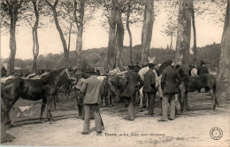 Tours La Foire Aux Chevaux Cheval Horse Cavallo Indre-et-Loire N°489 Cpa Non Ecrite Au Dos En TB.Etat - Tours