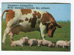 Vaches - Vacances Tranquille Belle Maman S'occupe Des Enfants - Vache Cochon - Humour