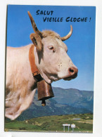 Vaches - Salut Vieille Cloche - Vache - Humour