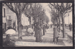 64. PAU . L'Hiver . Boulevard Des Pyrénées . Animée - Pau