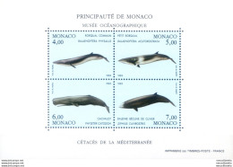 Fauna. Cetacei 1993. - Other & Unclassified