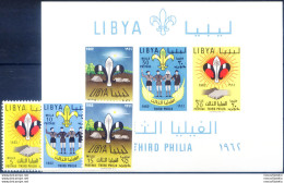 Scout 1962. - Libye