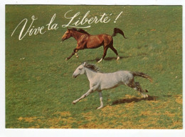 Chevaux - Vive La Liberté - Animaux Humoristiques - Pferde