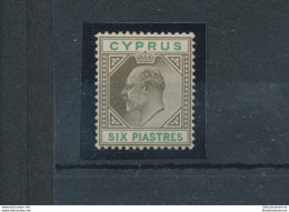 1902-04 Cipro, Stanley Gibbons N. 55 - 6 Piastre Seppia And Green - MH* - Other & Unclassified