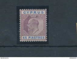 1902-04 Cipro, Stanley Gibbons N. 59 - 45 Piastre Dull Purple And Ultramarine - MH* - Other & Unclassified