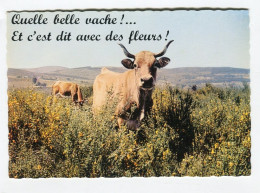 Vache - Vaches Quelle Belle Vache ! Et C'est Dit Avec Des Fleurs ! - Cows