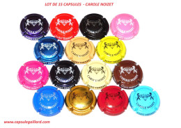 Lot De 15 Capsules De Champagne  CAROLE NOIZET - Colecciones