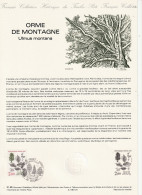 FRANCE    Document "Collection Historique Du Timbre Poste"   Orme De Montagne    N° Y&T  2385 - Documentos Del Correo