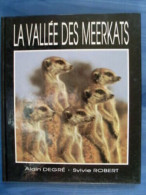 Alain Grado La Vallée Las Meerkats - Sonstige & Ohne Zuordnung