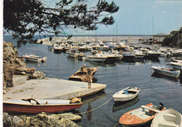 83.  LES ISSAMBRES .CPSM. LE PETIT PORT DE FERREOL. ANNEE 1986 + TEXTE - Les Issambres