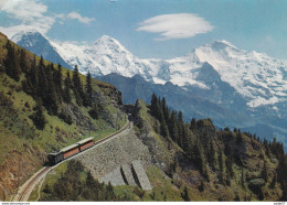 Interlaken Schynige Platte Bahn - Trains