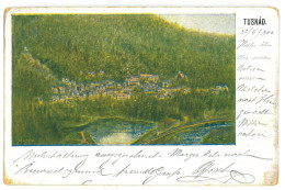 RO 97 - 23711 TUSNAD, Harghita, Panorama, Litho, Romania - Old Postcard - Used - 1900 - Roemenië