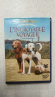 DVD - L'Incroyable Voyage 2 à San Francisco - Robert Hays - Otros & Sin Clasificación