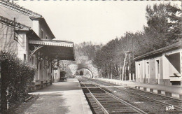 30 - Genolhac - La Gare - Sonstige & Ohne Zuordnung