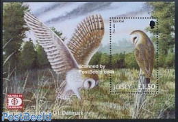 Jersey 2001 HAFNIA, Barn Owl S/s, Mint NH, Nature - Birds - Owls - Philately - Jersey