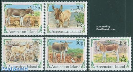 Ascension 1994 Christmas, Donkeys 5v, Mint NH, Nature - Religion - Animals (others & Mixed) - Christmas - Natale