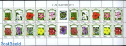Aruba 2010 Flowers M/s (with 2 Sets), Mint NH, Nature - Flowers & Plants - Autres & Non Classés