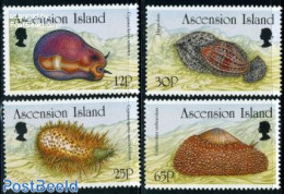 Ascension 1996 Shells 4v, Mint NH, Nature - Shells & Crustaceans - Vita Acquatica