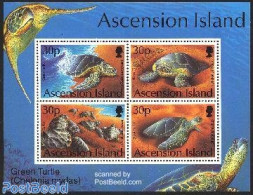 Ascension 1994 Turtles S/s, Mint NH, Nature - Reptiles - Turtles - Ascension (Ile De L')