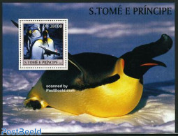 Sao Tome/Principe 2003 Penguin, Concorde S/s, Mint NH, Nature - Transport - Birds - Penguins - Concorde - Aircraft & A.. - Concorde