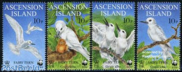 Ascension 1999 WWF, Birds 4v, Mint NH, Nature - Birds - World Wildlife Fund (WWF) - Ascension (Ile De L')