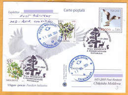 2024 2016 Moldova Special Postmark „World Day Of Natural Reservations” Fauna, Nature, Eagle, Hare, Squirrel - Moldavië