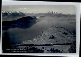 10719667 Weggis Vierwaldstaettersee Weggis Rigi Kraenzli Buergenstock Pilatus *  - Autres & Non Classés