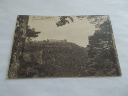 MONT SAINTE ODILE ( 67 Bas Rhin )  LE COUVENT A TRAVERS LES ARBRES - Sainte Odile