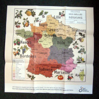 Carte Illustrée Régions France Format 63 X 63 Géographique Fruit Pomme Citron Raisin Fraise Poire Figue Arboriculture - Carte Stradali